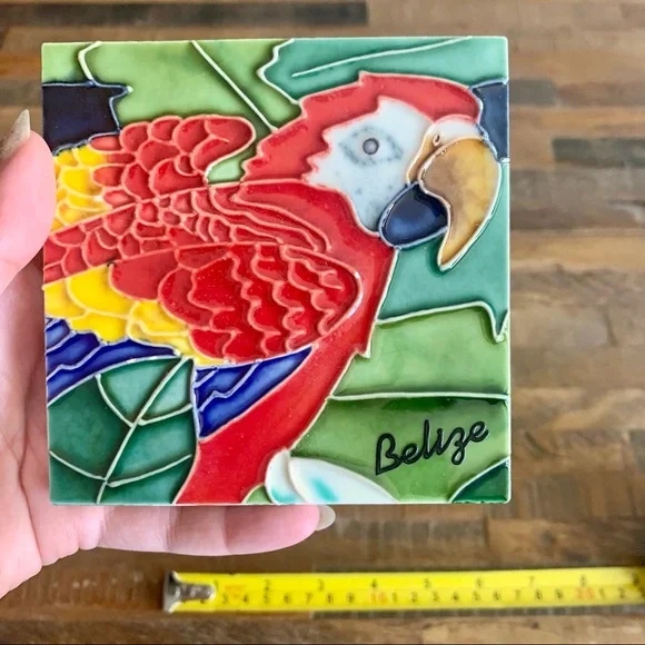 Handmade Parrot Ceramic Tile / Wall Art - Picture 4 of 8